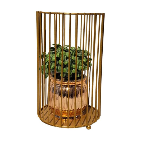 Gilded Cage {Medium Size}