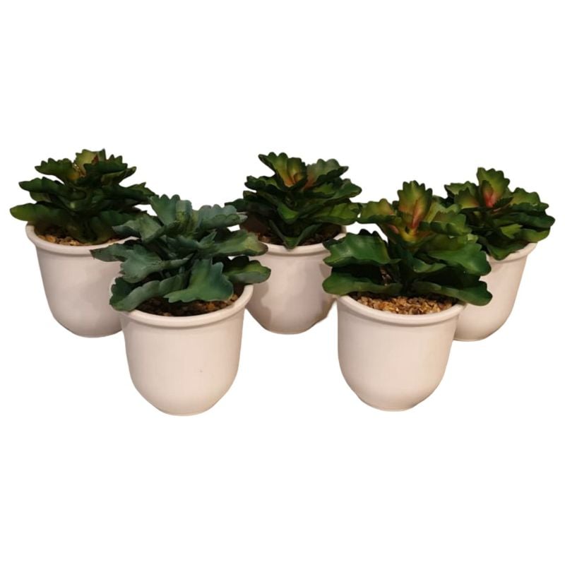 Small Plant Pot NC {Each Piece}