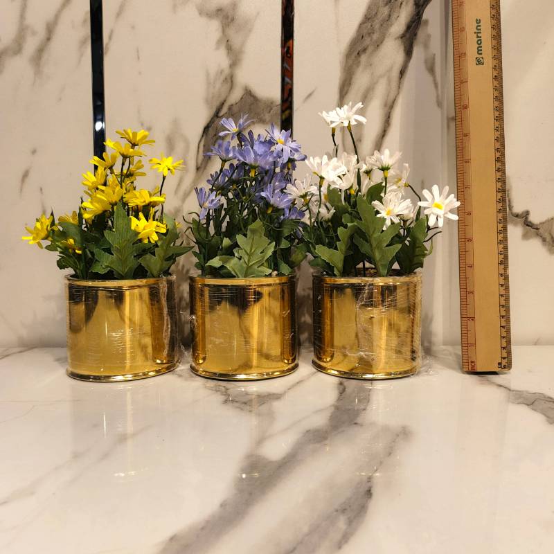 Circular Golden Pot Medium