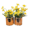 Circular Golden Pot Medium {Each Piece}