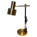 Study Lamp FS05