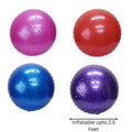 Yoga Ball 55Cm {Each Piece}