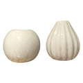 2 Pieces Vases Set