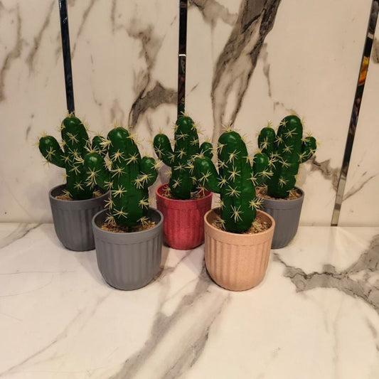 Green Cactus Pot