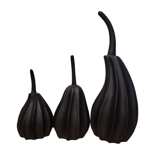 Black Pumpkin Set