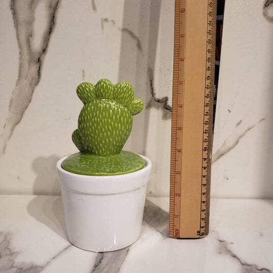 Modern Series Cactus 1