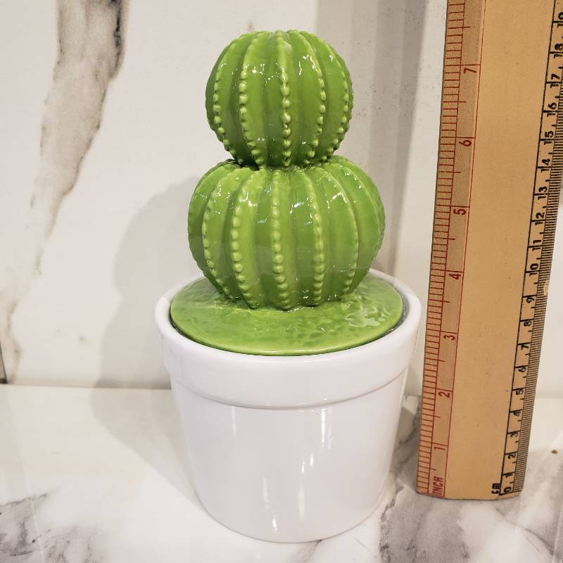 Ceramic Cactus NC