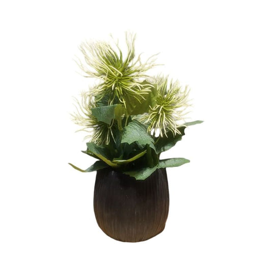 Each Piece PVC Cactus Pot