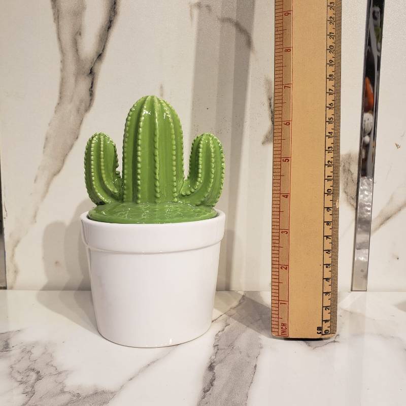 Modern Series Cactus 2