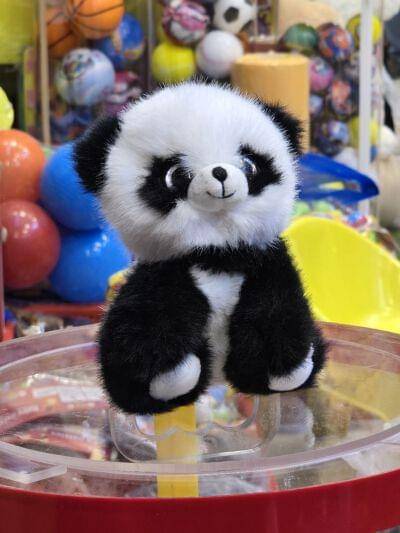 Pet Animal Cat, Bear, Panda 15Cm