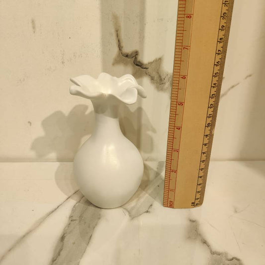 Plate NC 31-5