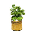 Each Piece Golden Pot With Bunch
