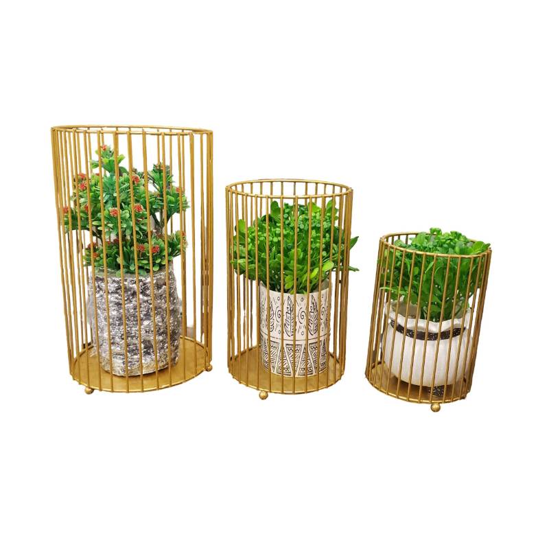 Cage Set 3 Pcs w/o plants