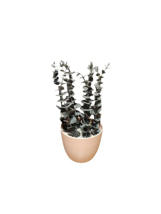 Mini Green Pot {Medium}
