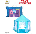 Tent Set,Blue Color,Pvc Hand Bag2